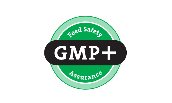 GMP