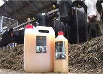 Allicine / D.T.S. Diallylthiosulfide