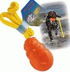 Jolly eekhoorn met touw