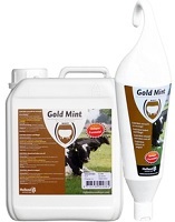 Gold Mint