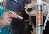 Baarmoederontsteking