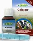 Colosan