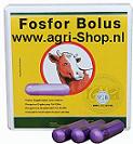 Fosfor bolus