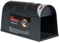 Rat val (elektronische)