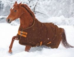 Thermo / waterdichte deken