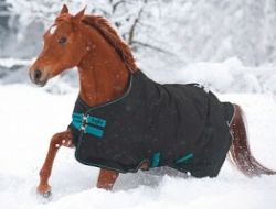 Thermo / waterdichte deken