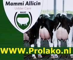 Allicin  Mammi