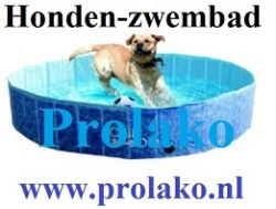 Honden zwembad