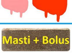 Masti plus Bolus