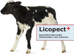 .Licopect Plus  ACTIE