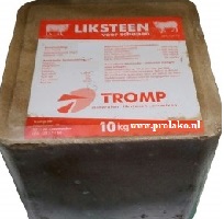 Liksteen TM schaap