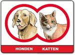 *  Hond / Kat  *