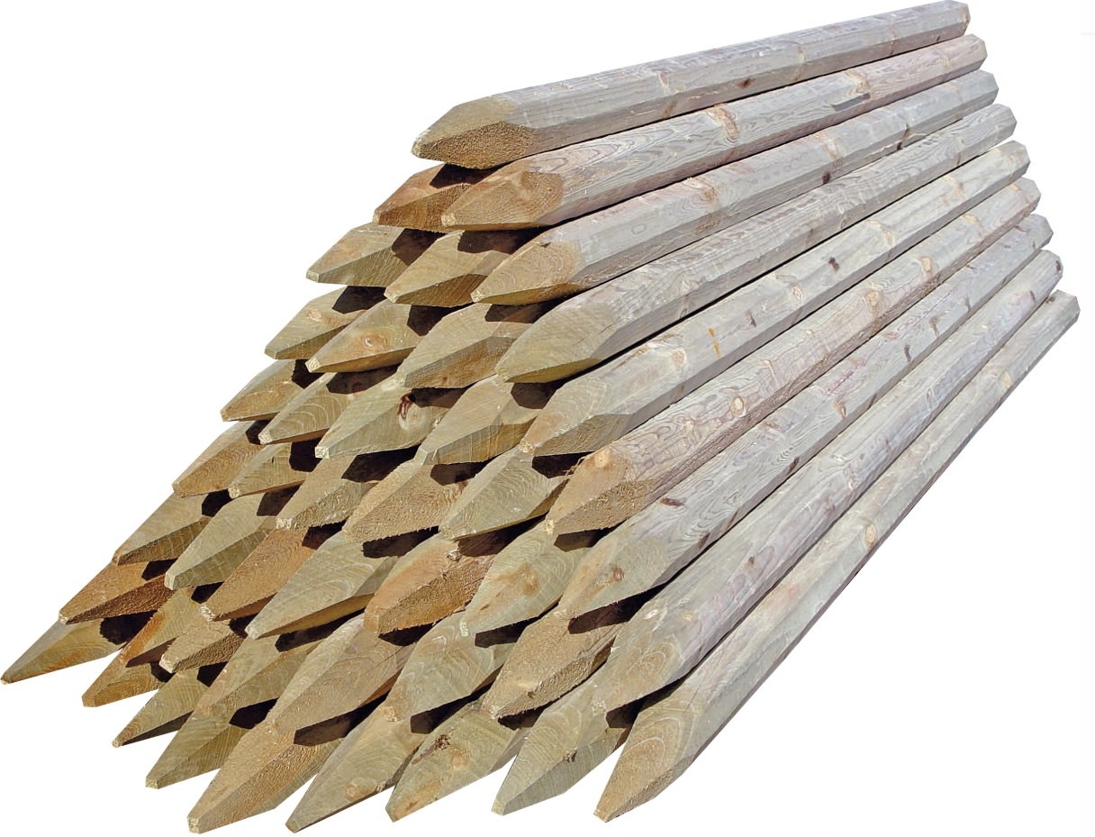 Paddock Octowood 60 x 20 m. - afbeelding 4