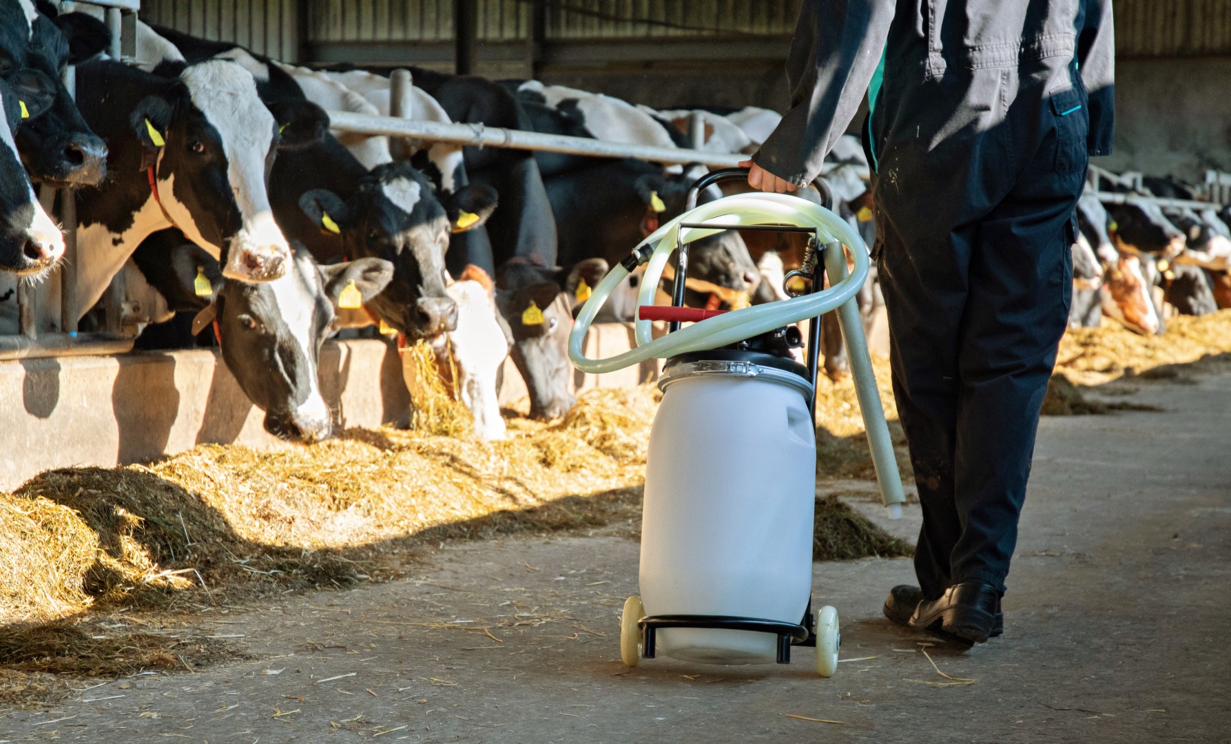 Excellent Cow Drencher Kar - afbeelding 2