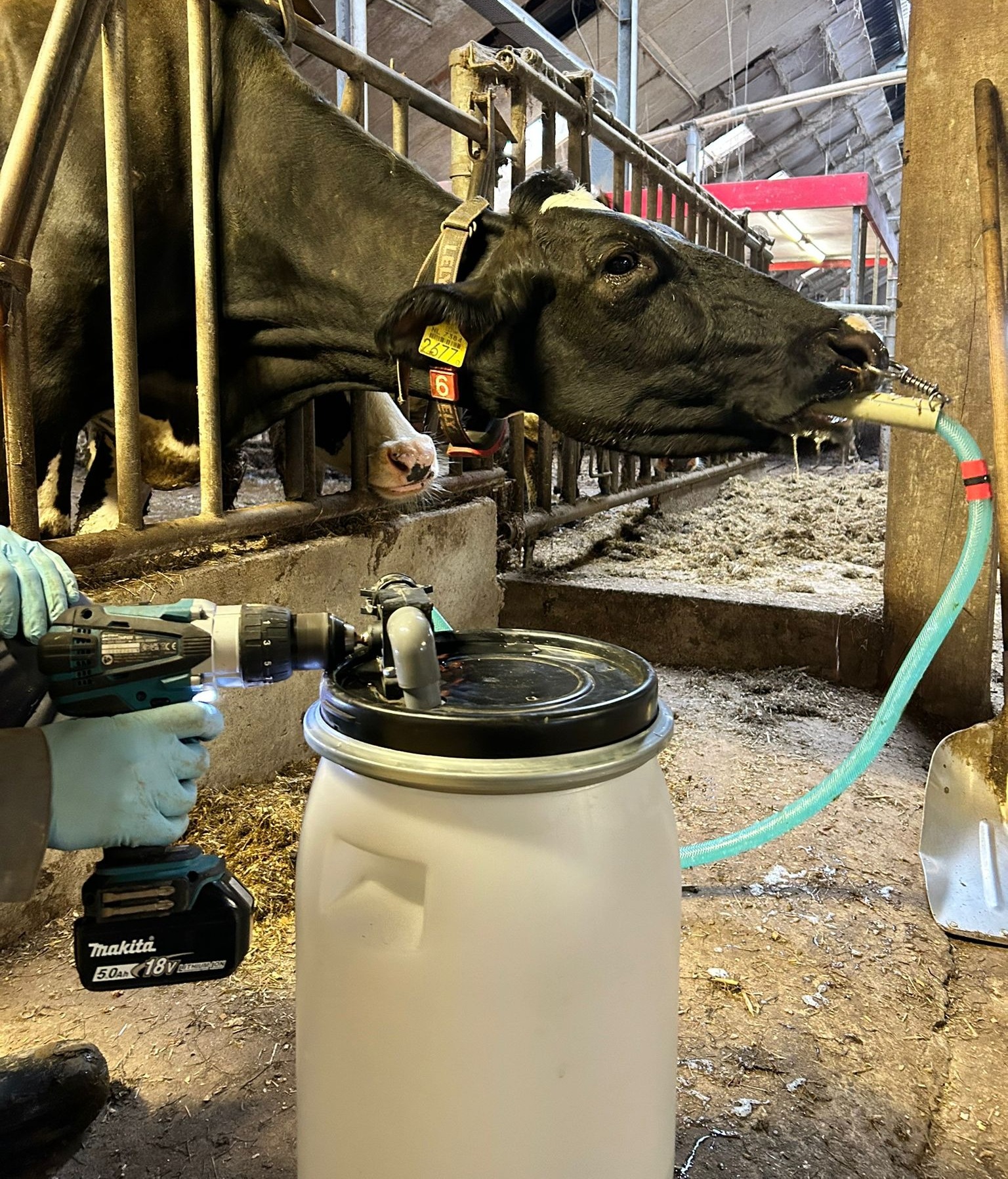 Excellent Cow Drencher Drill Driven - afbeelding 3