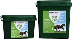 H.M.P.Horse