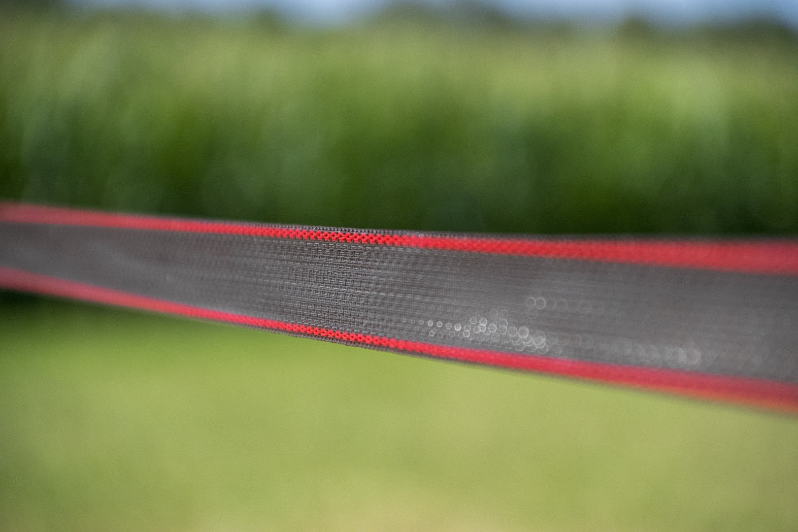 ZoneGuard 40 mm Plus afrasteringslint bruin 200 m - afbeelding 4