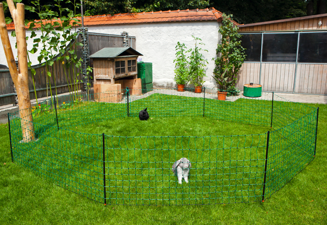 Net afrast konijn 65 cm, enkelpunt 12 m. - afbeelding 3