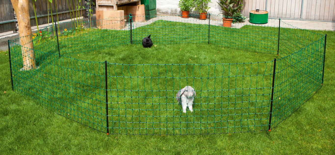 Net afrast konijn 65 cm, enkelpunt 12 m. - afbeelding 4