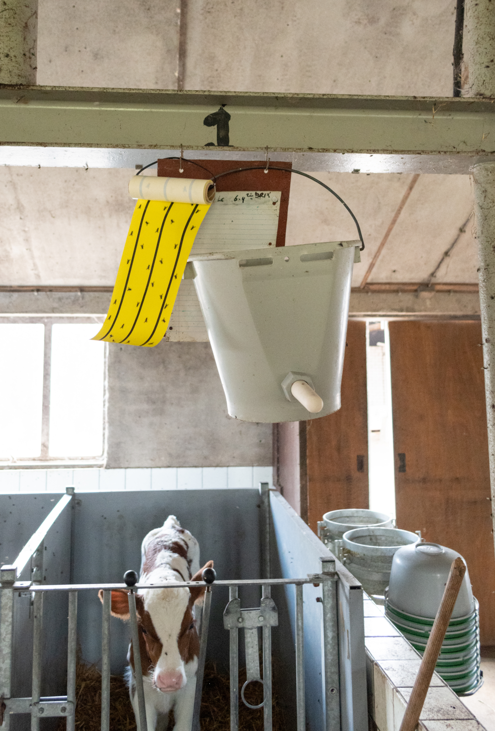 Knock Pest Vliegenkleefrol Geel 5 m - afbeelding 3