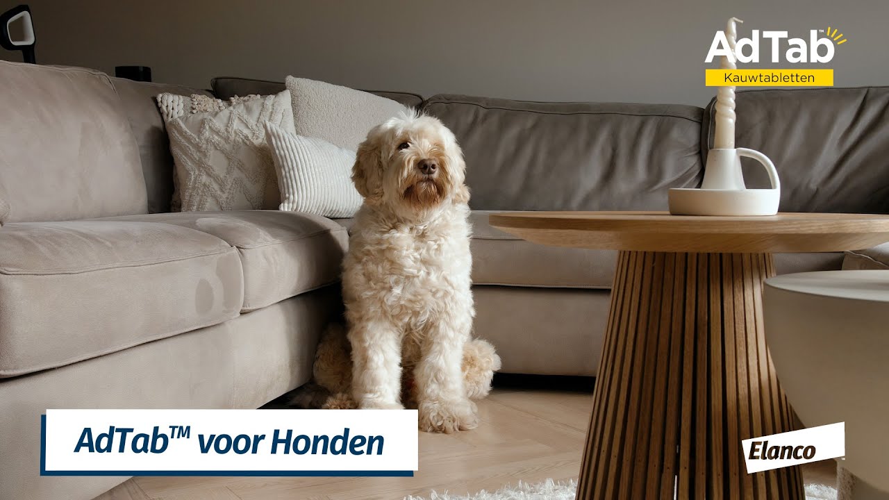 Elanco AdTab kauwtabletten hond (1,3 - 2,5 kg) - afbeelding 2