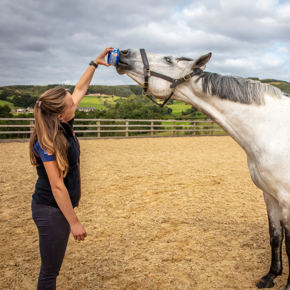 Horslyx Mini Original - afbeelding 2