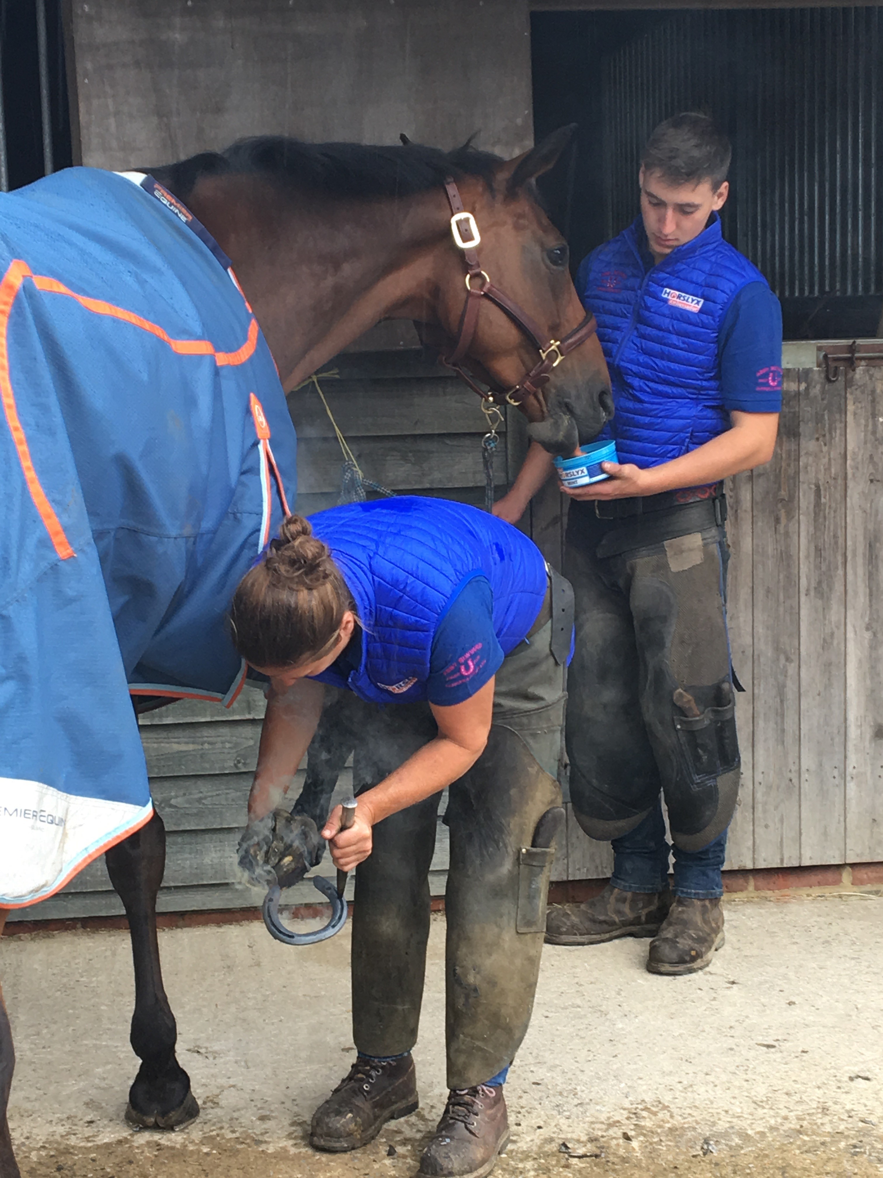 Horslyx Mini Luchtwegen - afbeelding 2