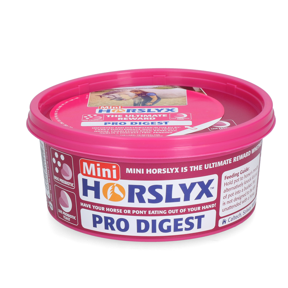 Horslyx Mini Spijsvertering - afbeelding 1