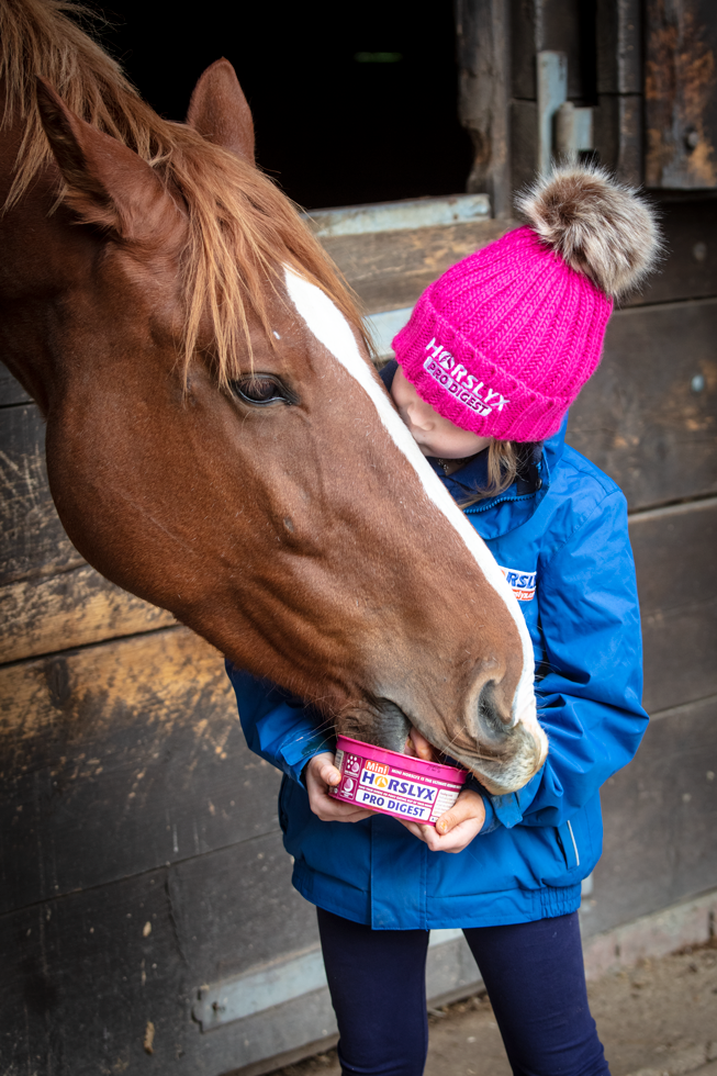 Horslyx Mini Spijsvertering - afbeelding 2