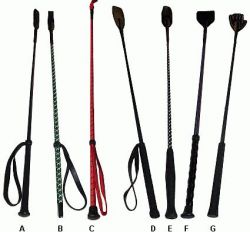 Zwepen rij,spring en race zwepen