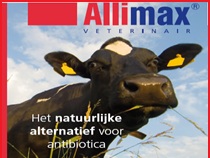 Allimax Allicine