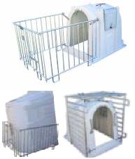 Kalverhut Suevia mini