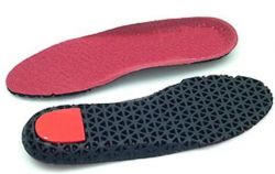 Inlegzool
