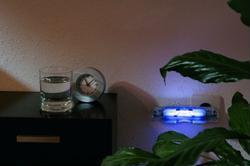 Silva-tronic Bleu Stripe