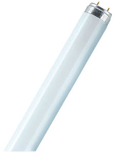 TL Lamp Phillips 40 W