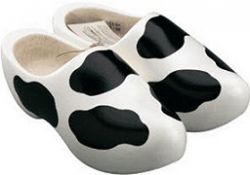 Klomp 'Koe'