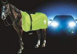 Veiligheids Paarden deken