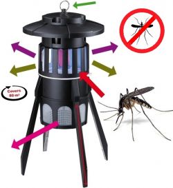 Muggenvanger (Mosquito)