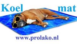 Koel mat hond groot