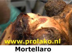 Klausan (violetspray)