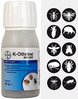 K-Othrine