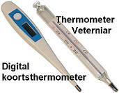 Thermometer
