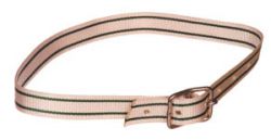 Halsband met tonggesp