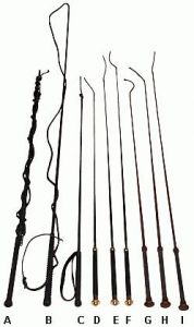 Zwepen longeer en Dressuur zwepen