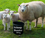Schaap Booster Energie
